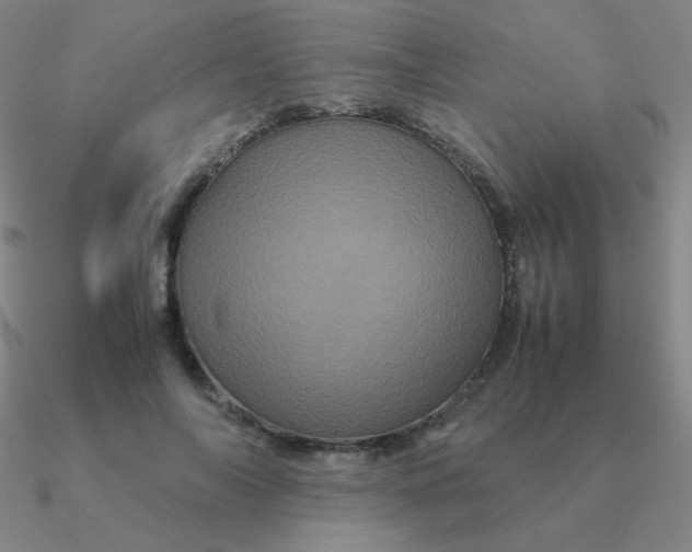 X0000090620694200708071225