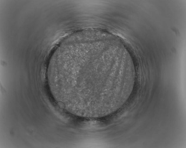 X0000090620695200708071225