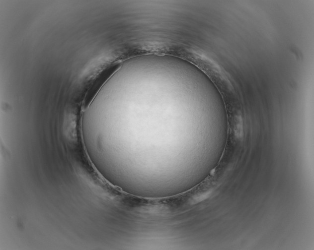 X0000090620696200708071225