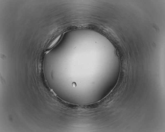 X0000090620697200708071225