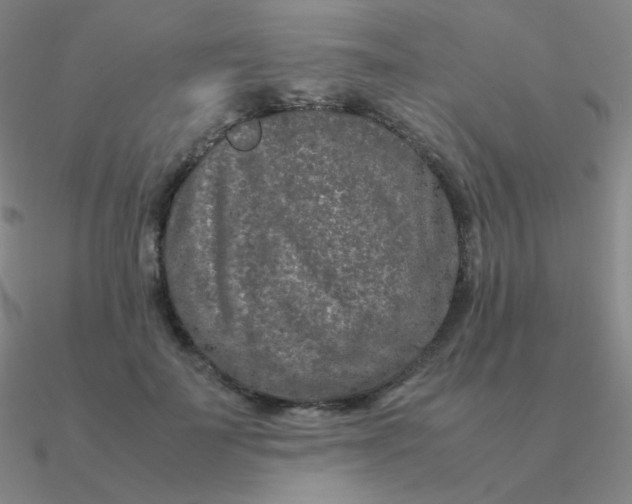 X0000090620699200708071225