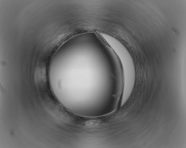 X0000090620700200708071225