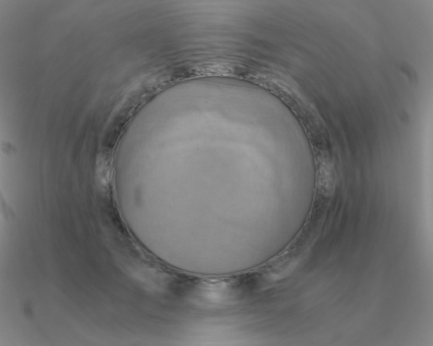 X0000090620701200708071225