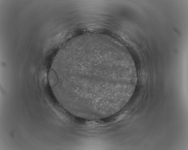 X0000090620703200708071225