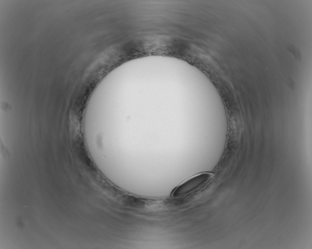 X0000090620705200708071225