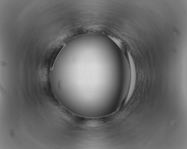 X0000090620708200708071225