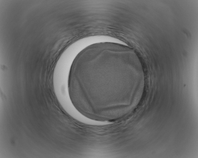 X0000090620709200708071225