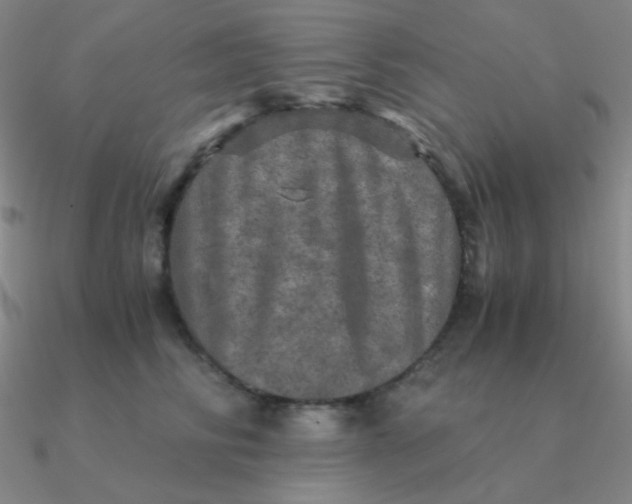 X0000090620710200708071225