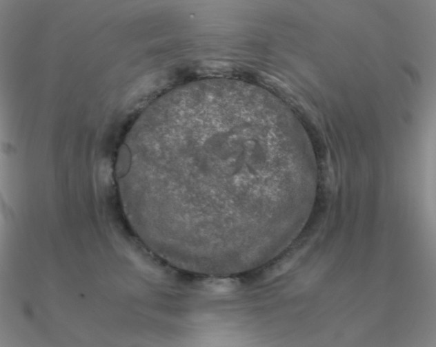 X0000090620711200708071225