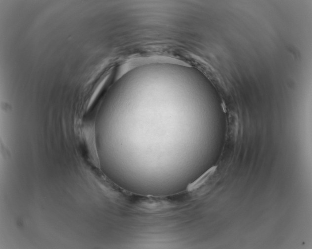 X0000090620712200708071225