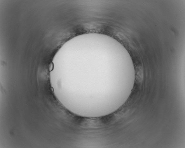 X0000090620713200708071225