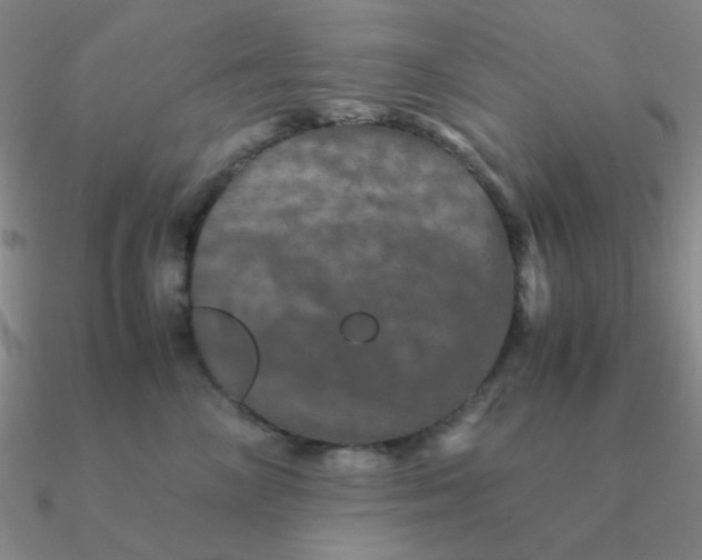 X0000090620714200708071225