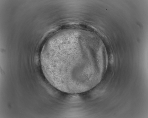 X0000090620715200708071225