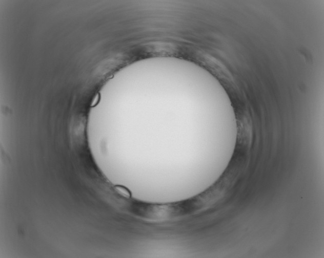 X0000090620717200708071225