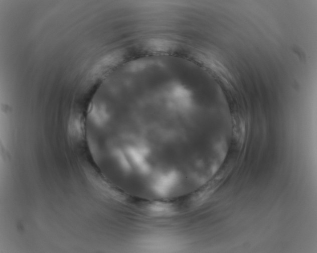 X0000090620718200708071225