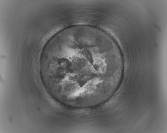 X0000090620721200708071224