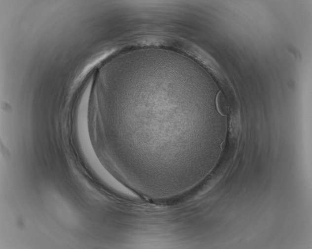 X0000090620722200708071224