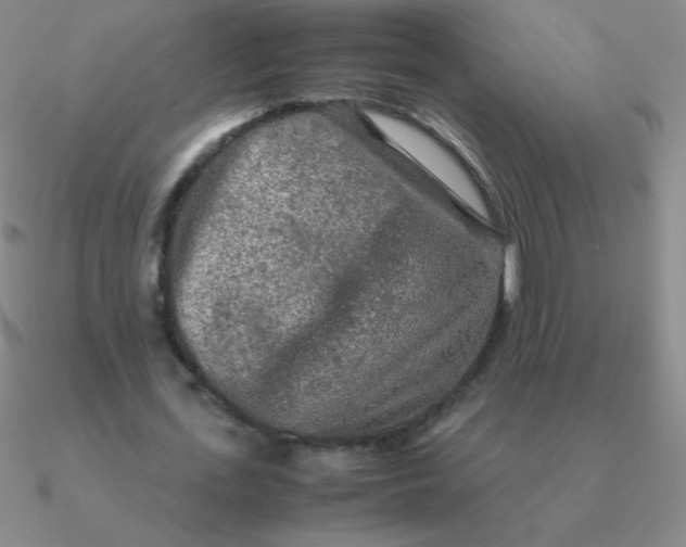 X0000090620723200708071224