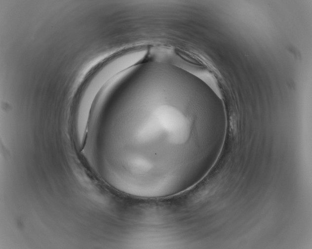 X0000090620724200708071224