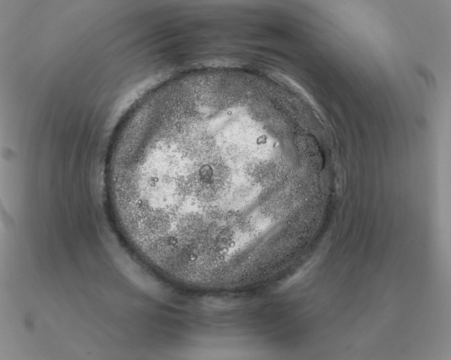 X0000090620725200708071224