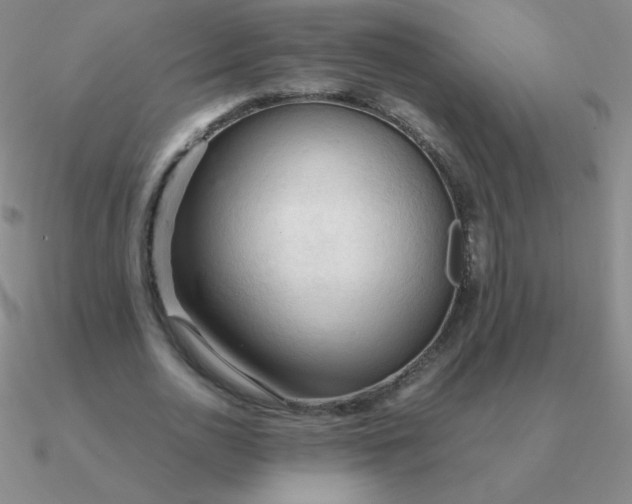 X0000090620726200708071224