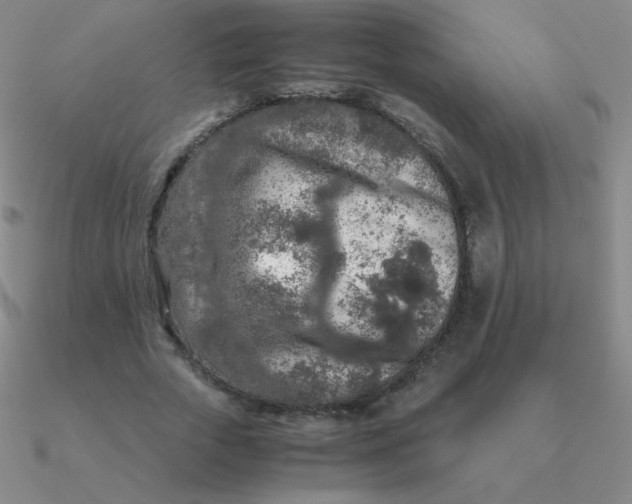 X0000090620729200708071224