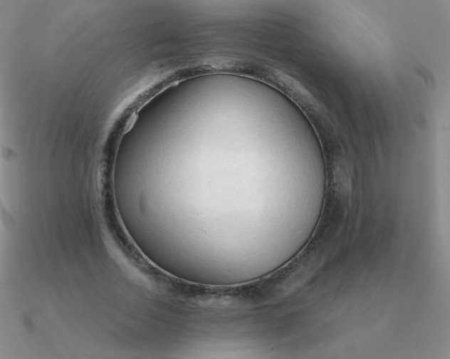 X0000090620730200708071224