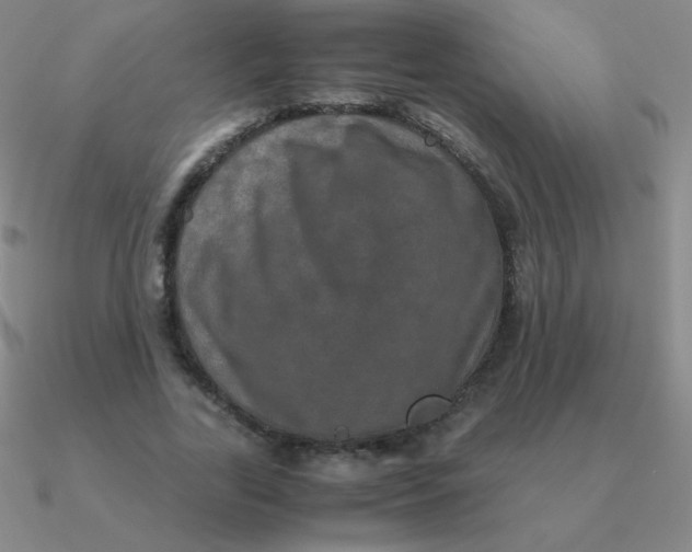 X0000090620731200708071224