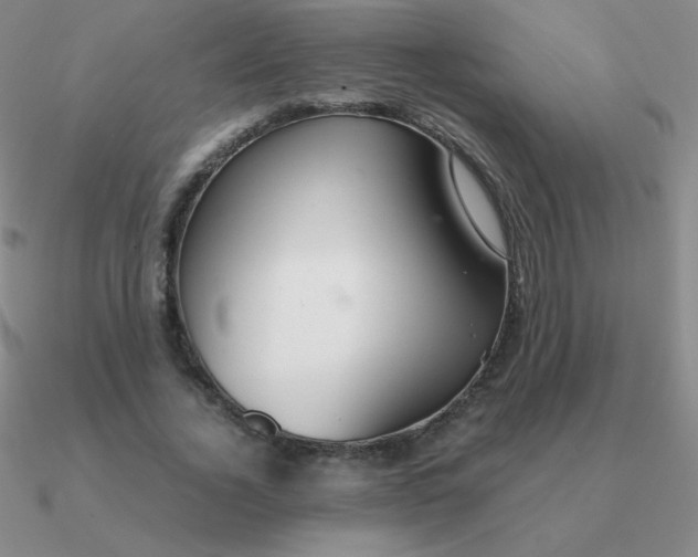 X0000090620732200708071224