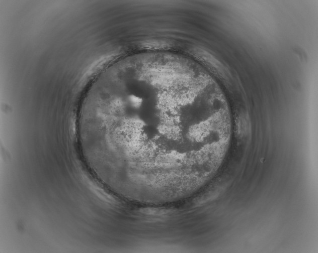 X0000090620733200708071224