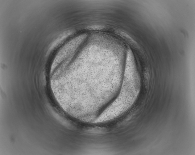 X0000090620734200708071224