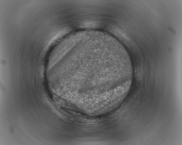 X0000090620735200708071224