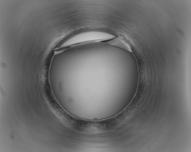 X0000090620736200708071224