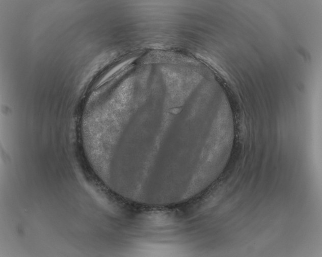 X0000090620738200708071224