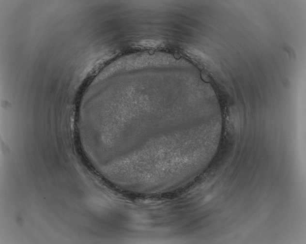 X0000090620739200708071224