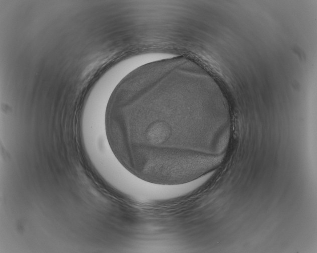 X0000090620740200708071224