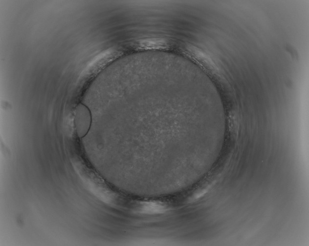 X0000090620741200708071224