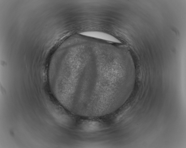 X0000090620743200708071224