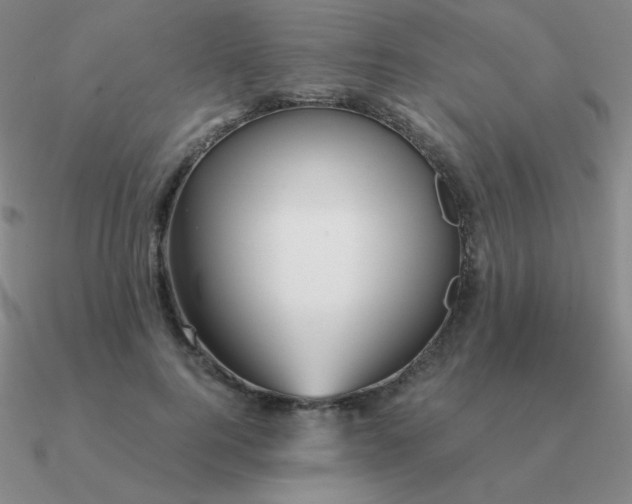 X0000090620744200708071224