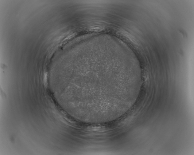 X0000090620745200708071224