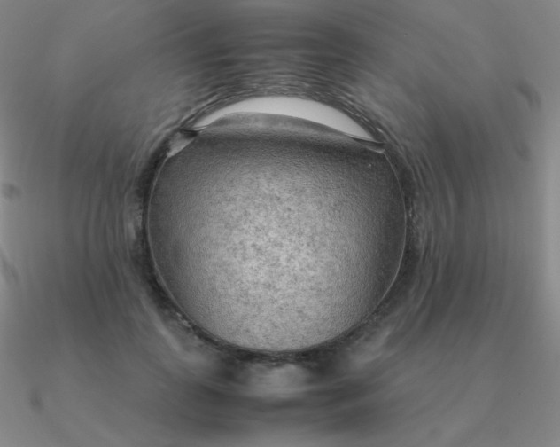 X0000090620747200708071224