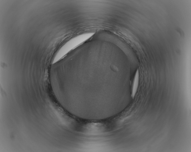 X0000090620748200708071224