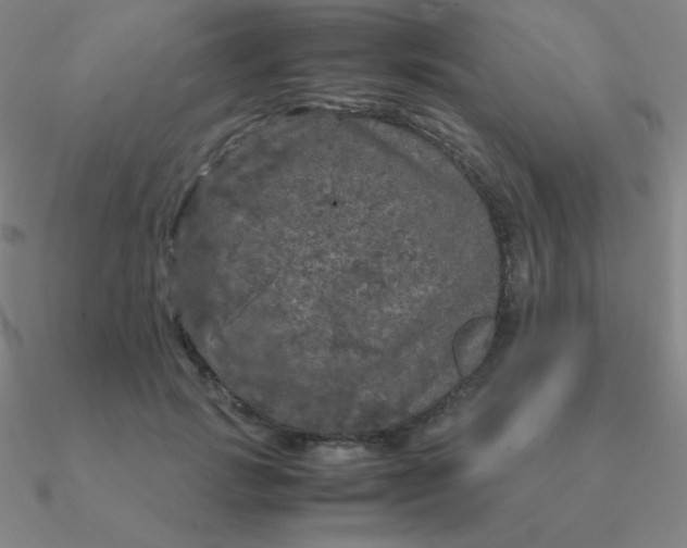 X0000090620749200708071224