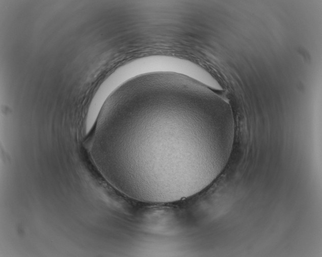 X0000090620750200708071224