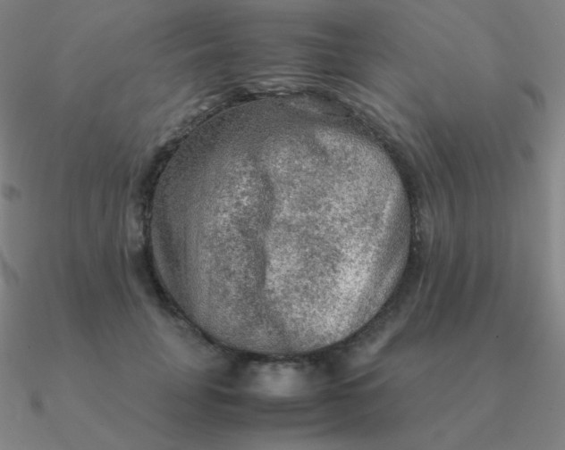 X0000090620751200708071224