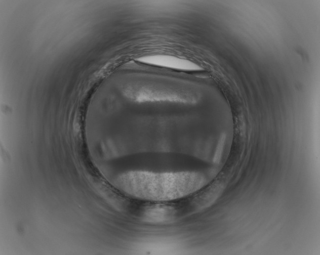 X0000090620754200708071224