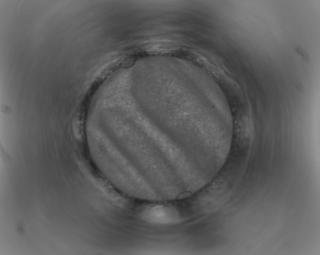 X0000090620755200708071224