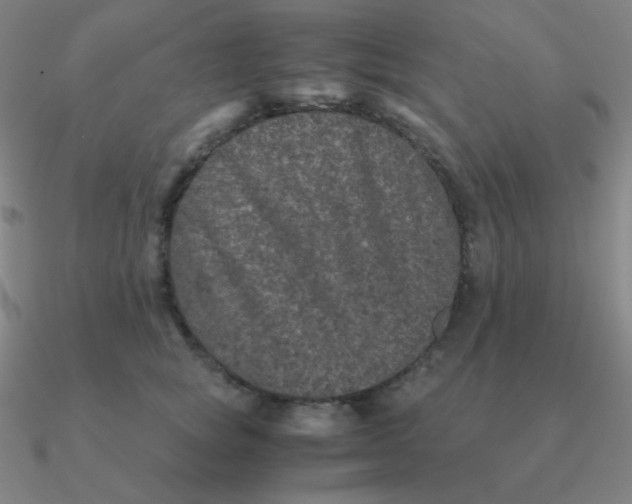 X0000090620757200708071224