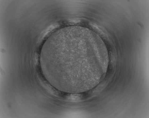 X0000090620758200708071224