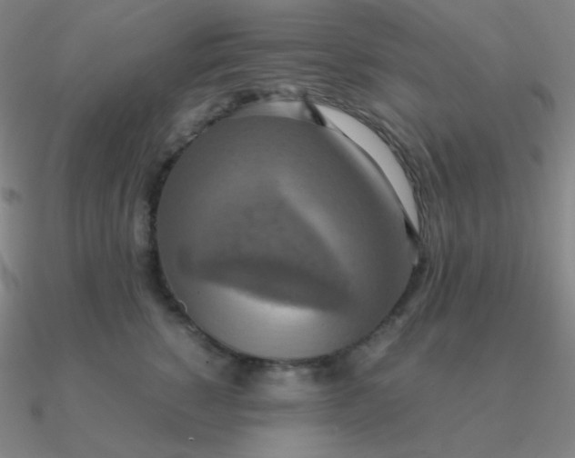 X0000090620760200708071224